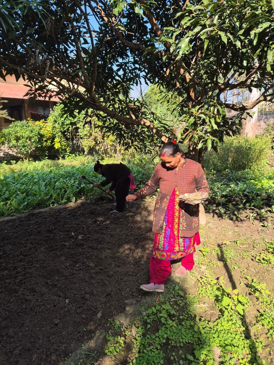 Garden, Food and drinks, Food, Garden view, Area and facilities, Area and facilities, Family