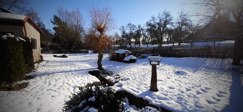 Winter, Garden