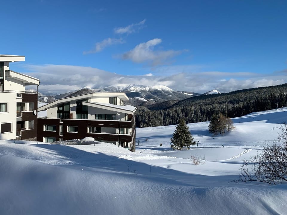 Property building, Skiing