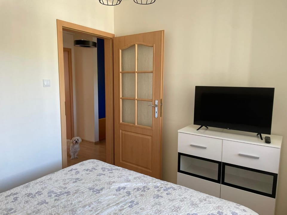 Apartament Artemida Apartment in Lesser Poland Voivodeship