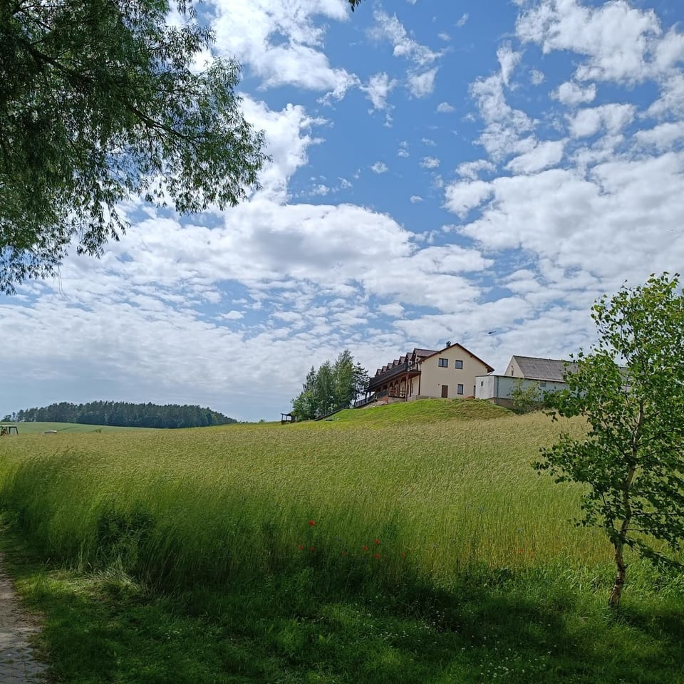 Azyl Widoki Bed and Breakfast in Poland