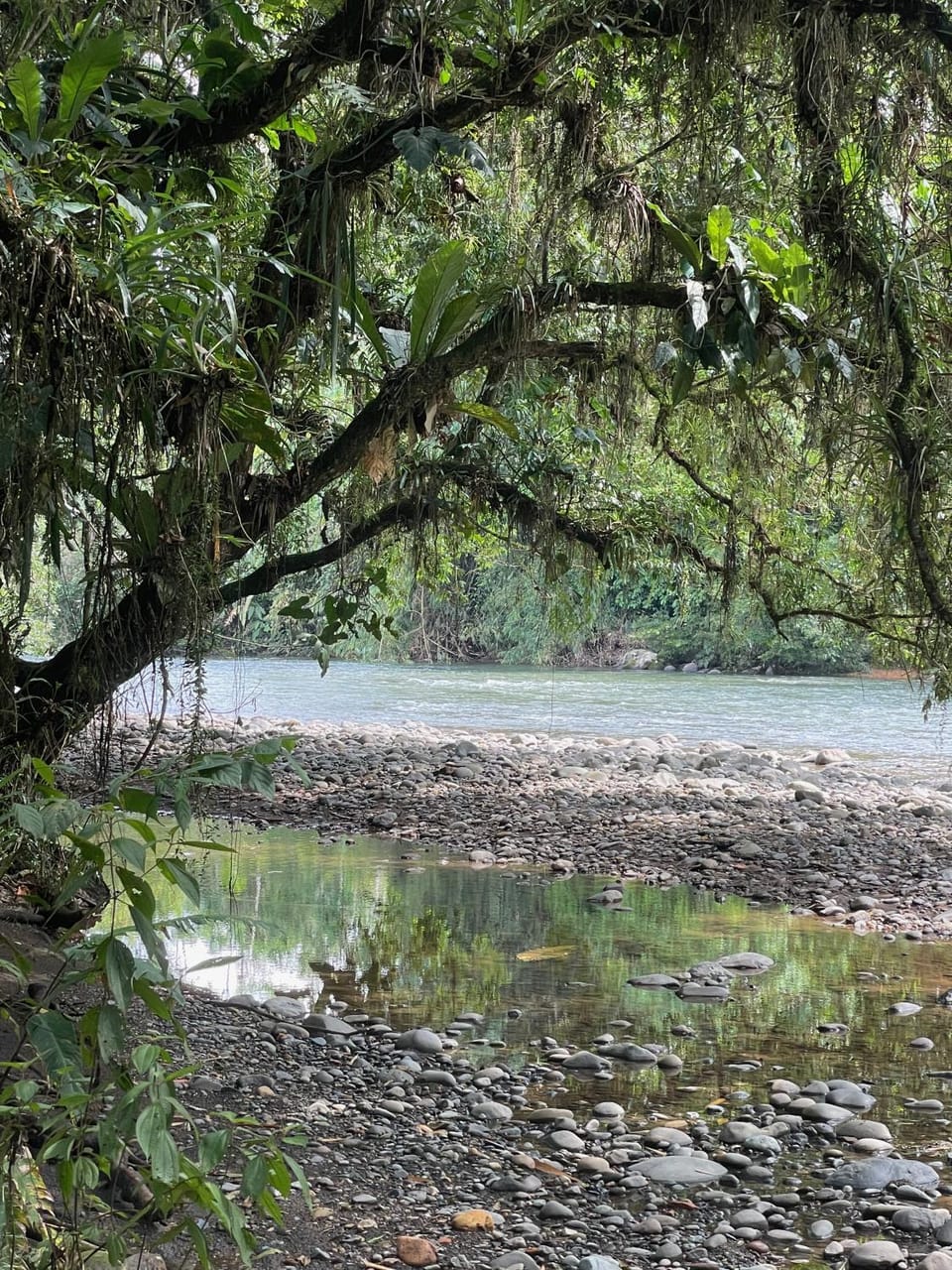 Caoni riverside Lodge House in Pichincha