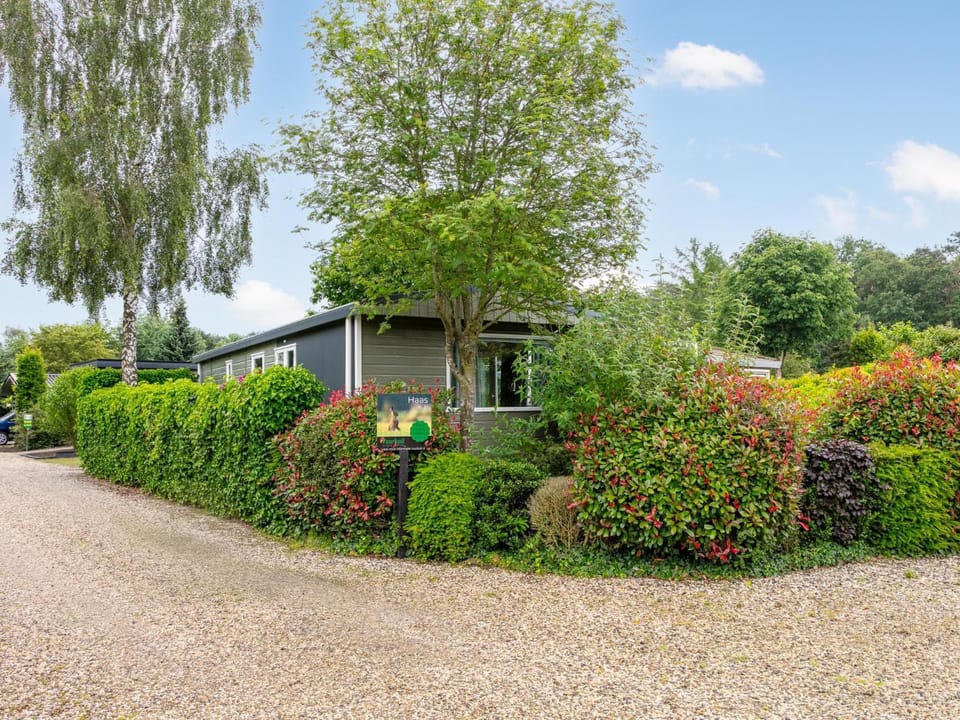 Property building, Summer