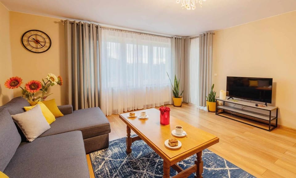 Day, TV and multimedia, Seating area, Dinner