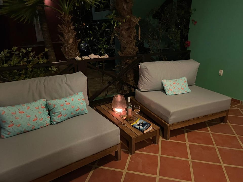 Patio, BBQ facilities, Balcony/Terrace, Seating area, Alcoholic drinks