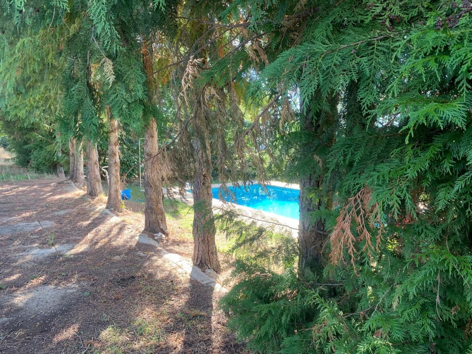 Casa de Pereiras, Vimioso House in Portugal