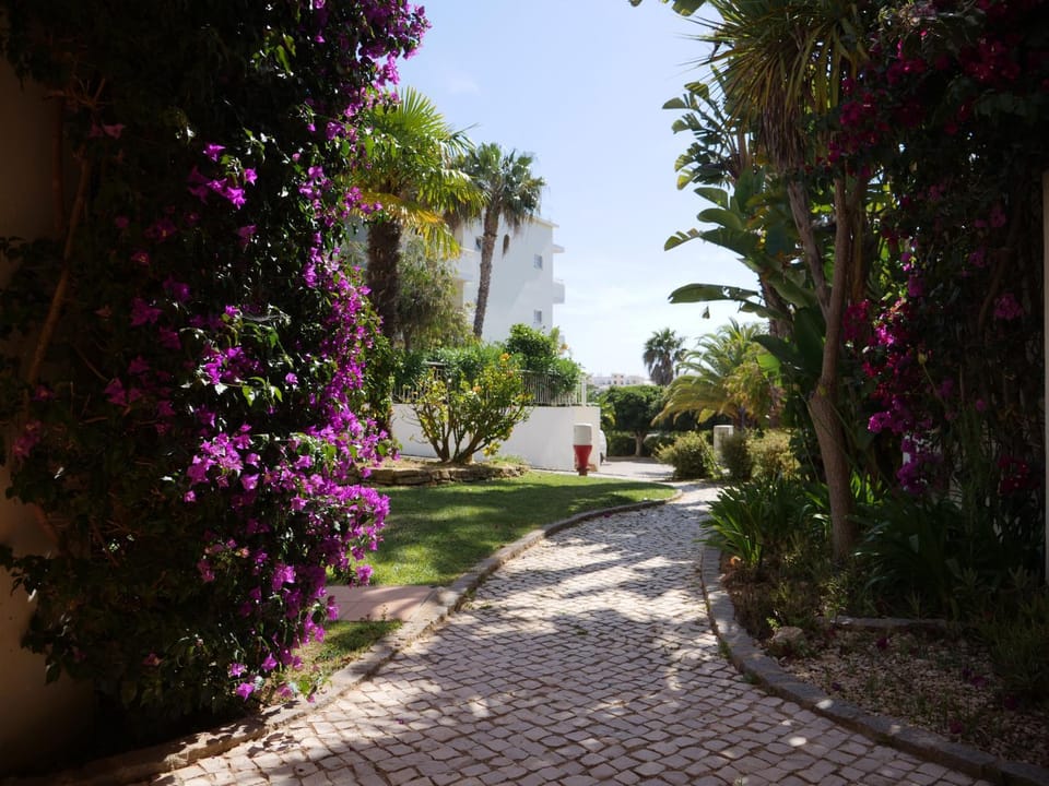 Property building, Facade/entrance, Garden