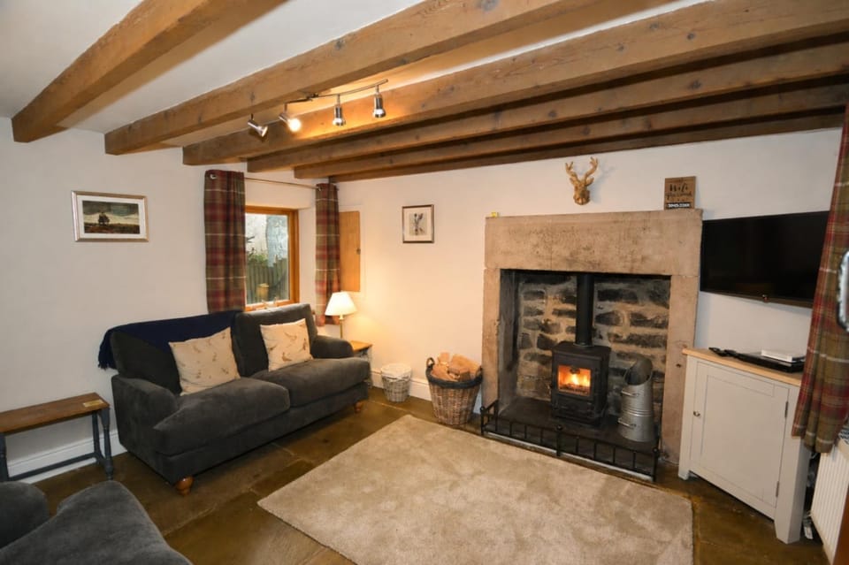 TV and multimedia, Seating area, fireplace