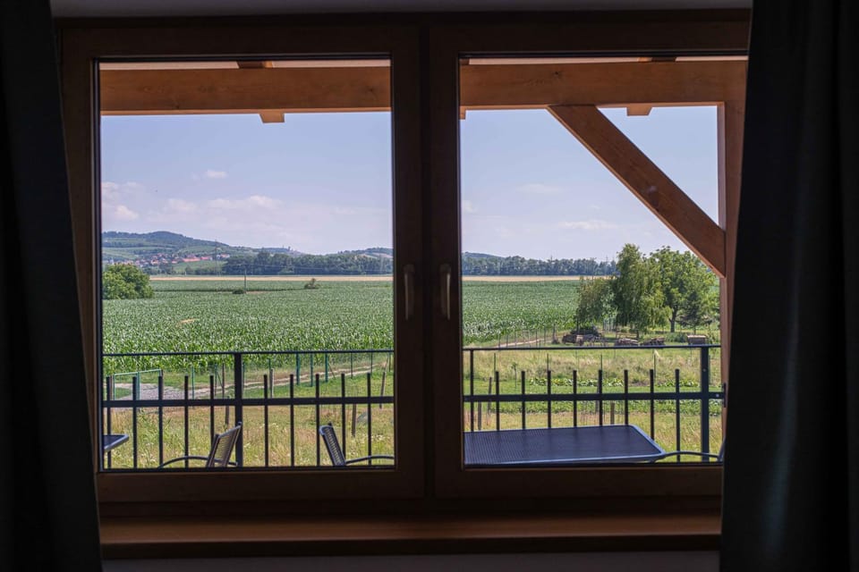 Apartmány Vinařství Šebesta Bed and Breakfast in South Moravian Region
