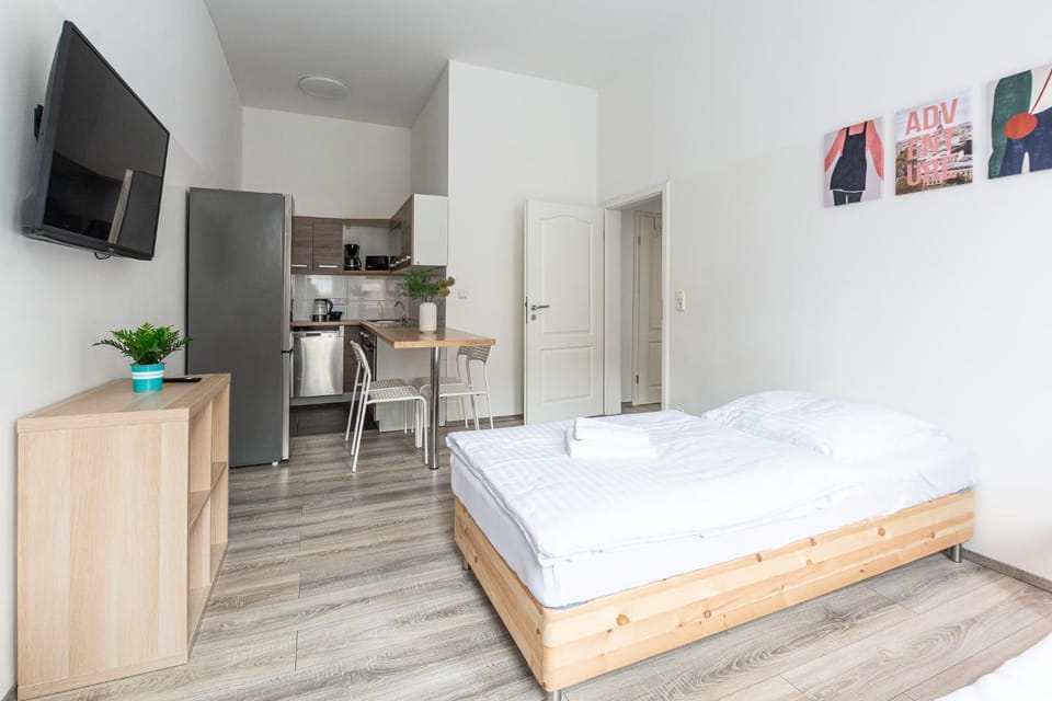 Bed, TV and multimedia, Kitchen or kitchenette, Photo of the whole room, Dining area, Bedroom, oven