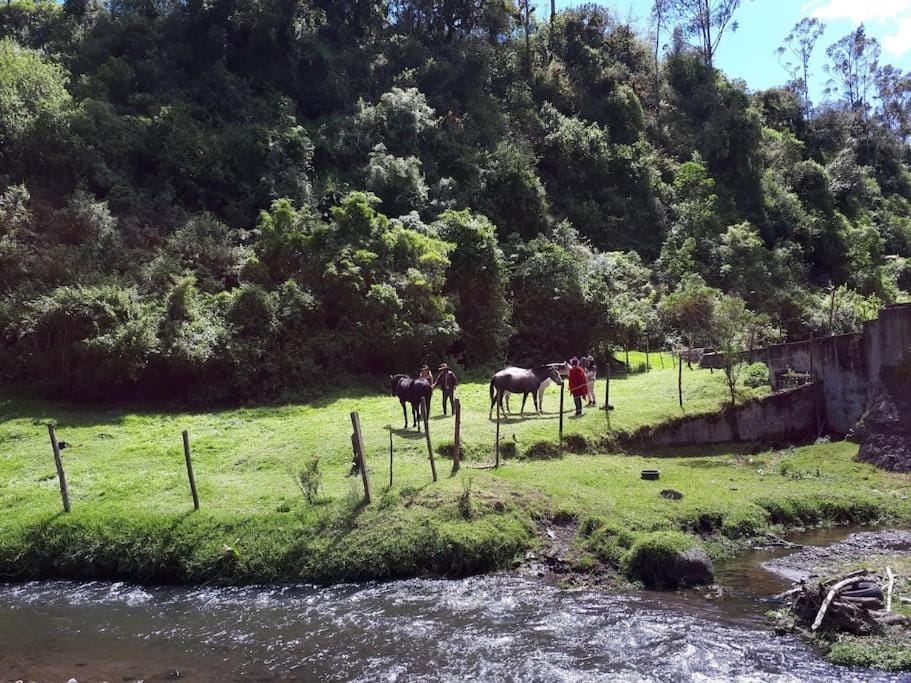 Natural landscape