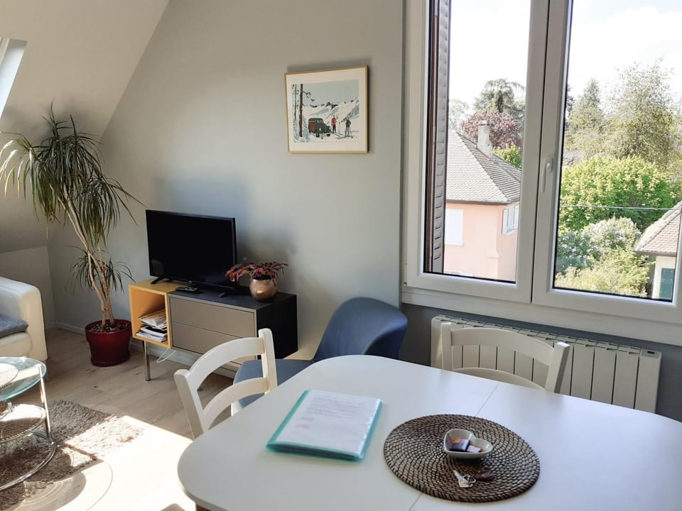 TV and multimedia, Living room, Seating area, Dining area, internet