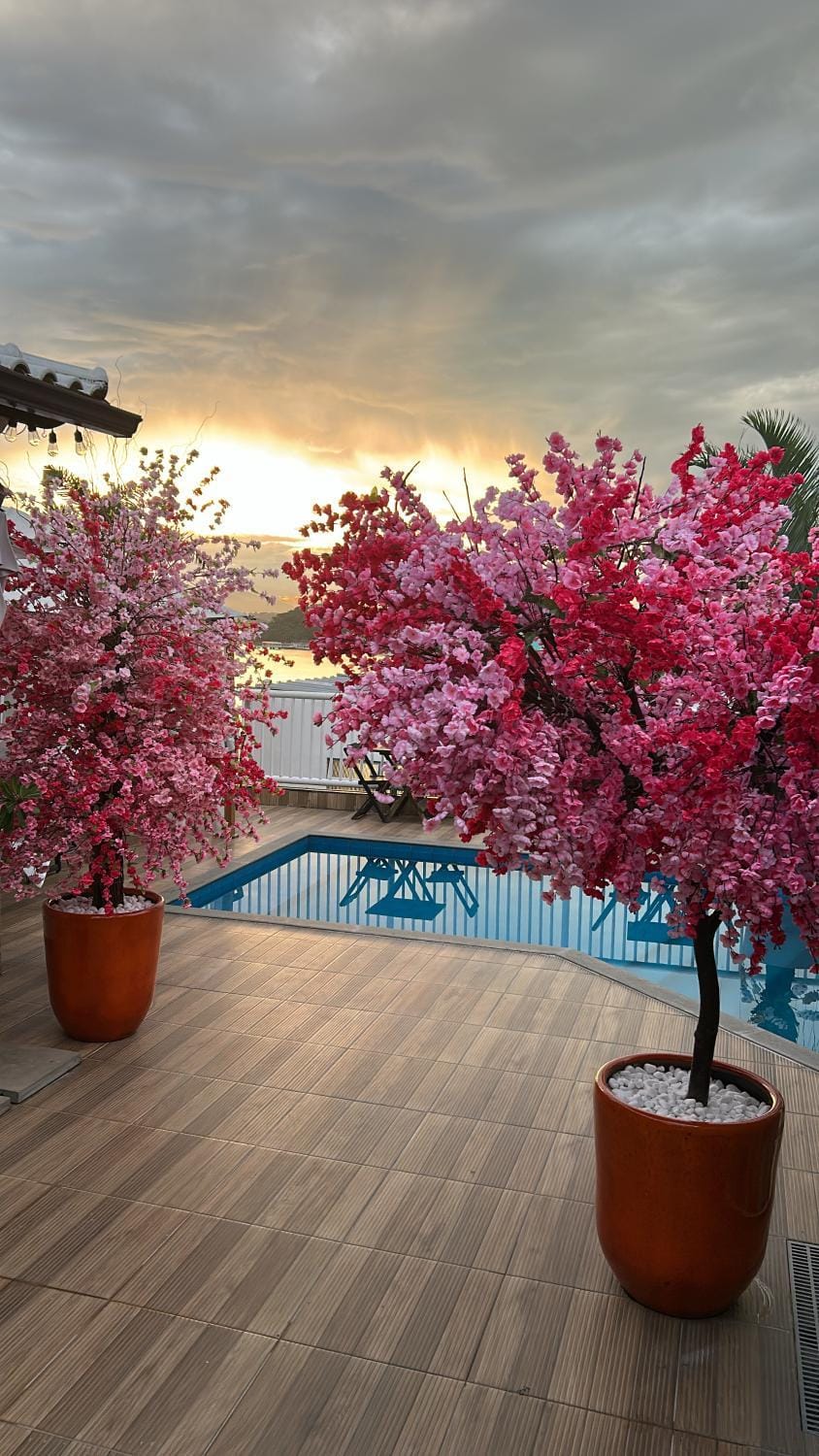 Hotel Pousada Irmaos Freyhardt Bed and Breakfast in Rio de Janeiro