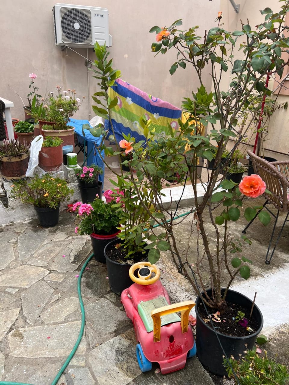 Μεζονέτα στους Αγίους Δέκα Κέρκυρας House in Corfu, Greece