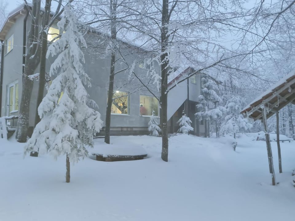 Property building, Winter