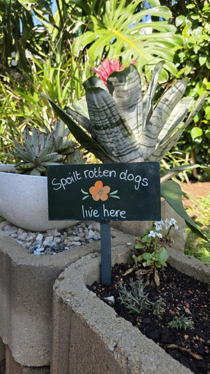 Property building, Garden, Pets