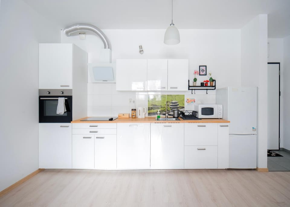 Kitchen or kitchenette, dishwasher, oven, pet friendly, stove