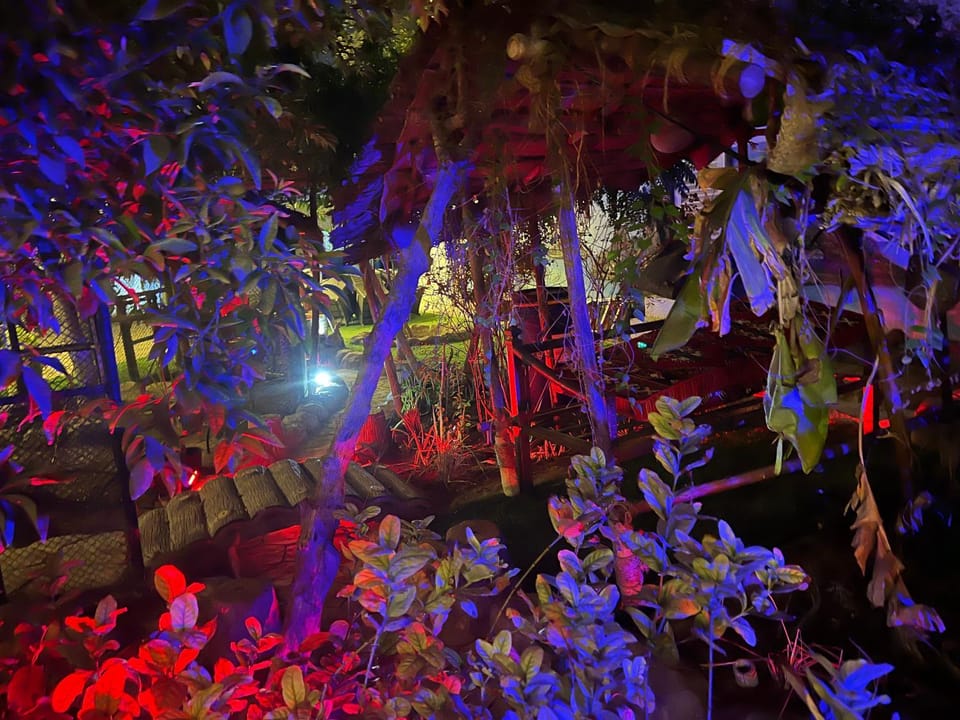 Night, Garden