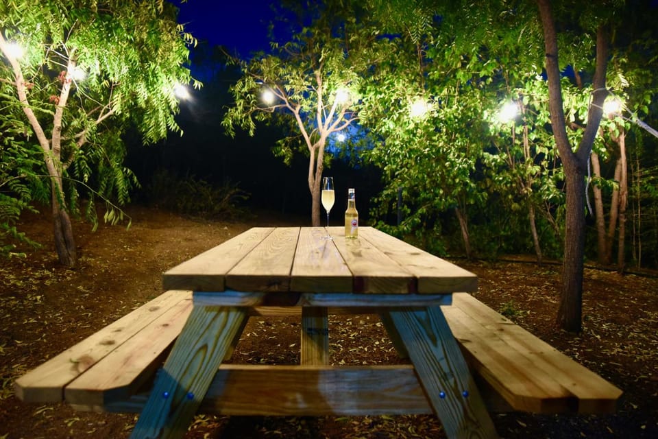 Night, Garden, Dining area, Garden view
