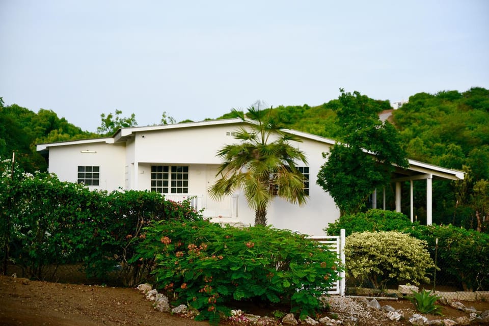 Facade/entrance, Garden, Garden view