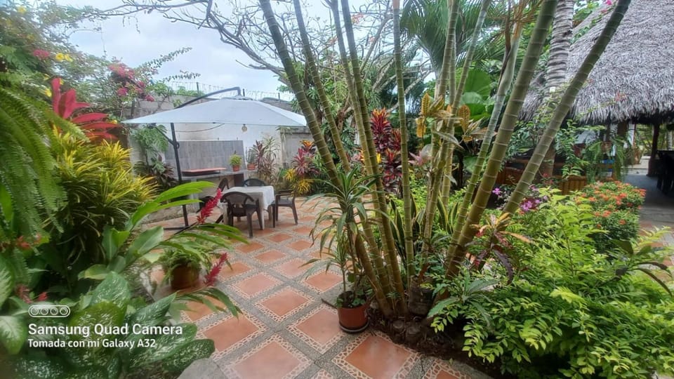 Patio, Day, Garden, Garden view