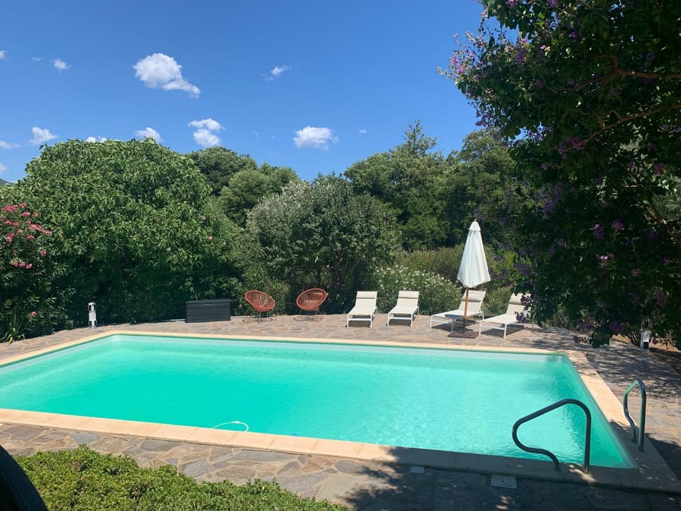 Garden, Garden view, Swimming pool, sunbed