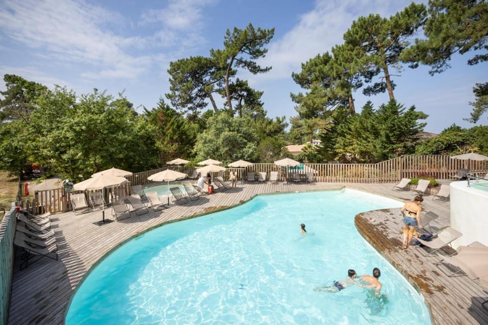 Natural landscape, Swimming pool, Swimming pool, sunbed
