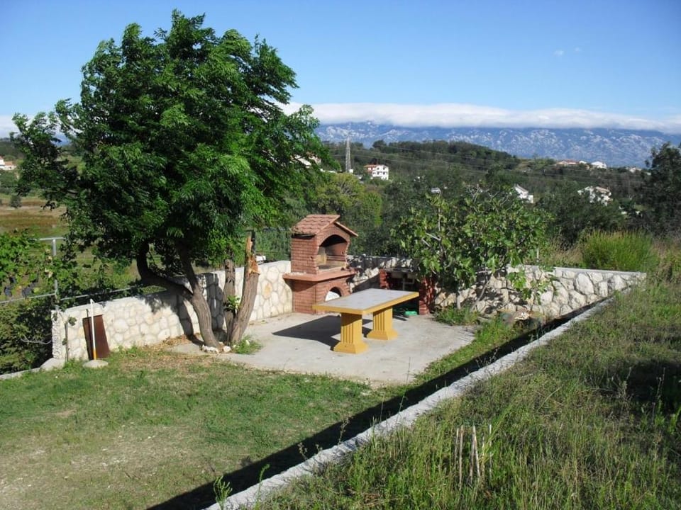 Patio, Garden, Garden view