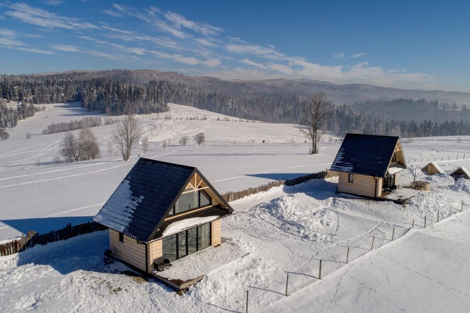 Winter, Mountain view
