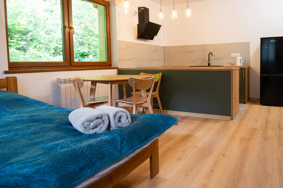 KANIA Apartamenty - Zakopane Apartment in Zakopane