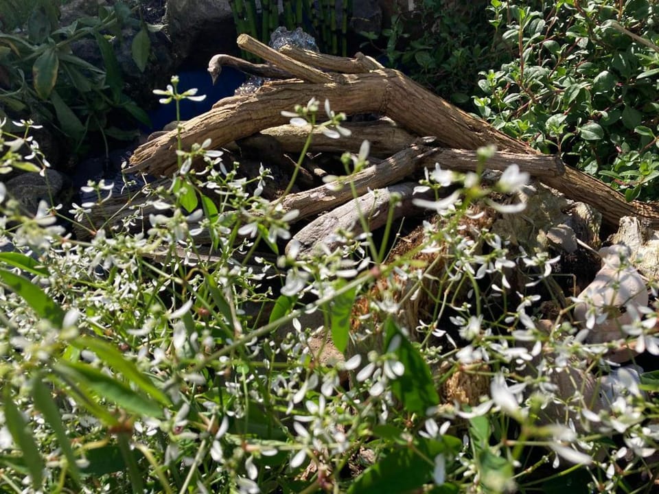 2Bed Cabin w Parking near Snowdonia National Park Cabin in Wales