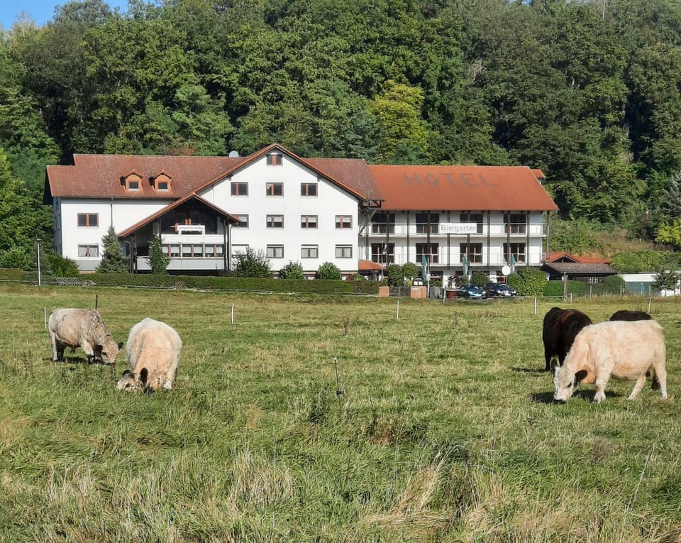 Landgasthof Rotlipp Gästezimmer Hotel in Hesse
