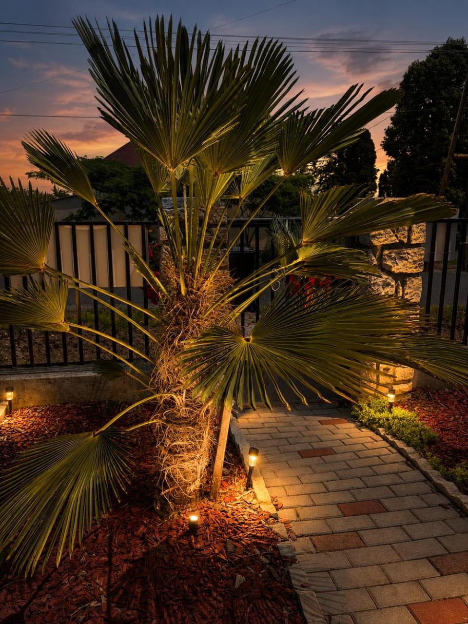 Night, Garden