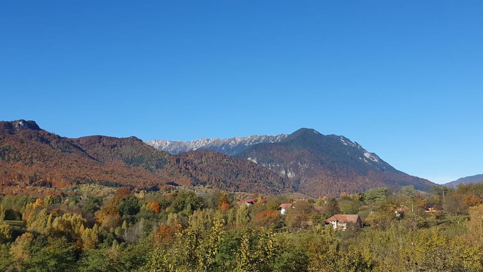 Natural landscape