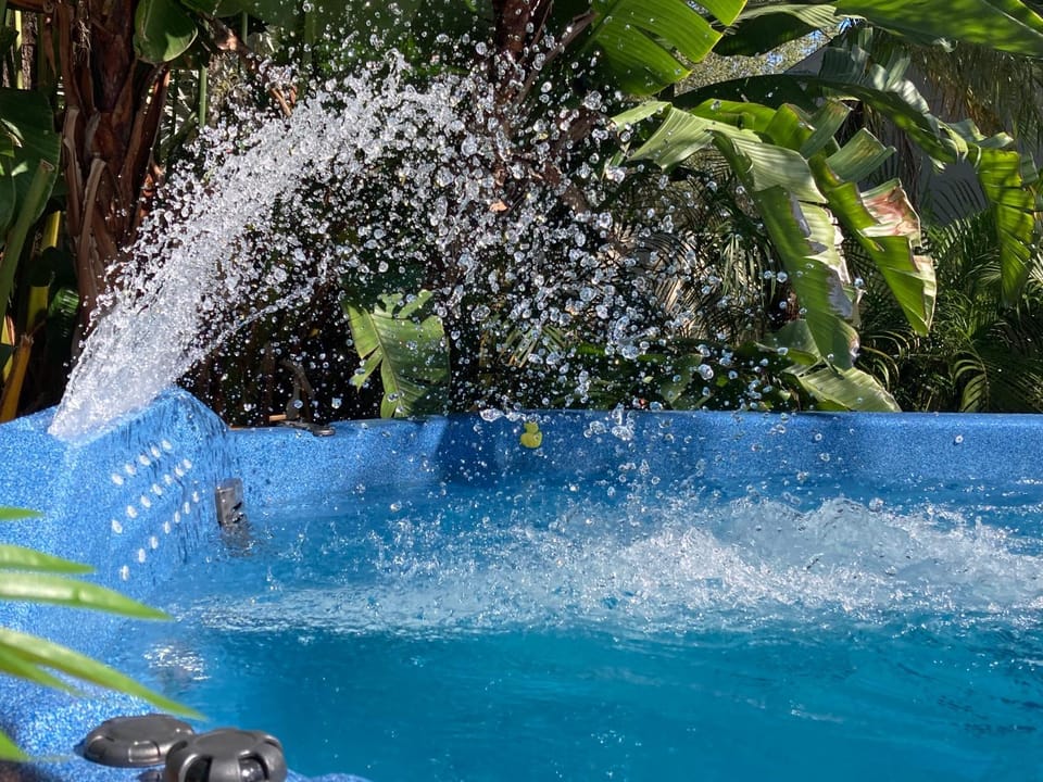 3Gulls Inn Ozona-Boutique Hotel-Steps from Restaurants & Brewery-SwimSpa Pool-Pet Friendly Hotel in Palm Harbor