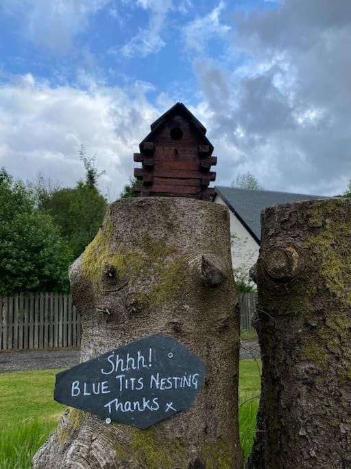 Pine Cabin, Strathyre. A cosy escape from it all. Cabin in Strathyre