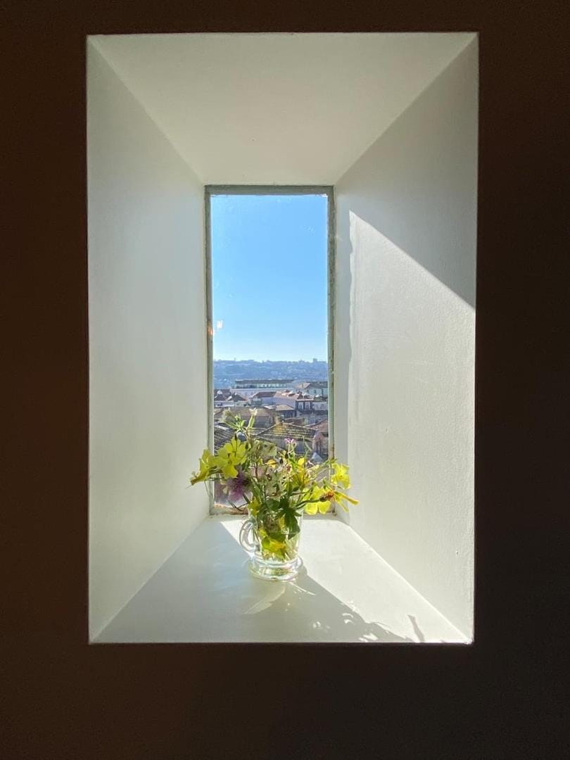 GET a train and city view Apartment in Porto