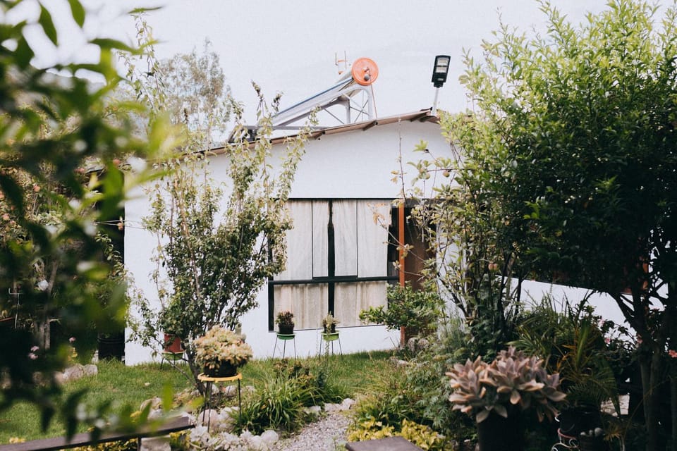Garden view