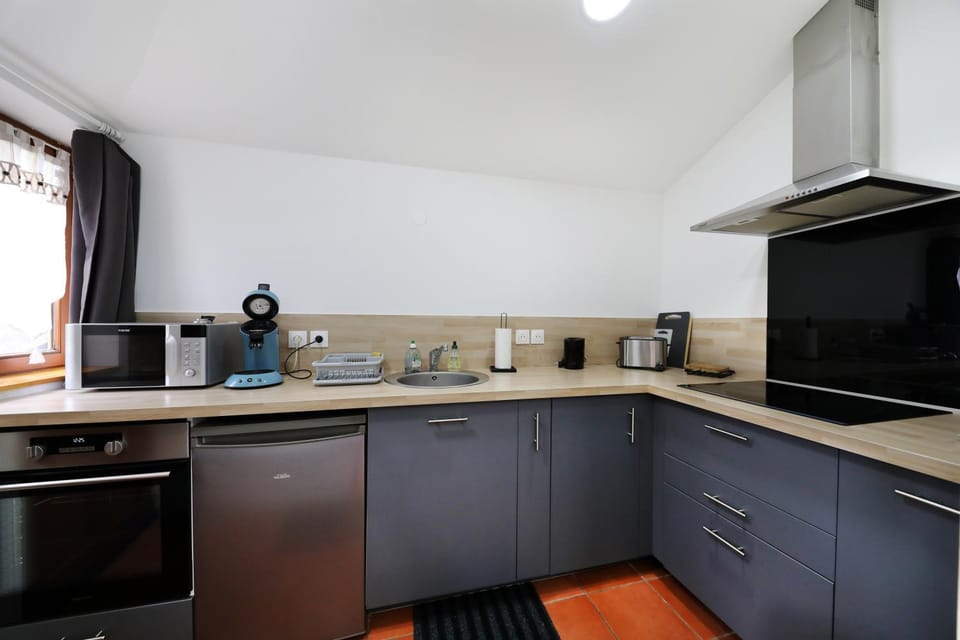 Le saut du cerf Apartment in Gérardmer