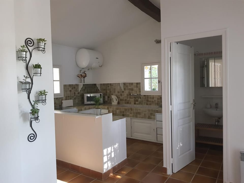 Maisonnette dans le Luberon - Bois Romay House in French Riviera
