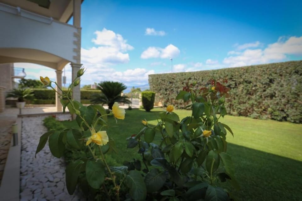Patio, Garden, Garden view