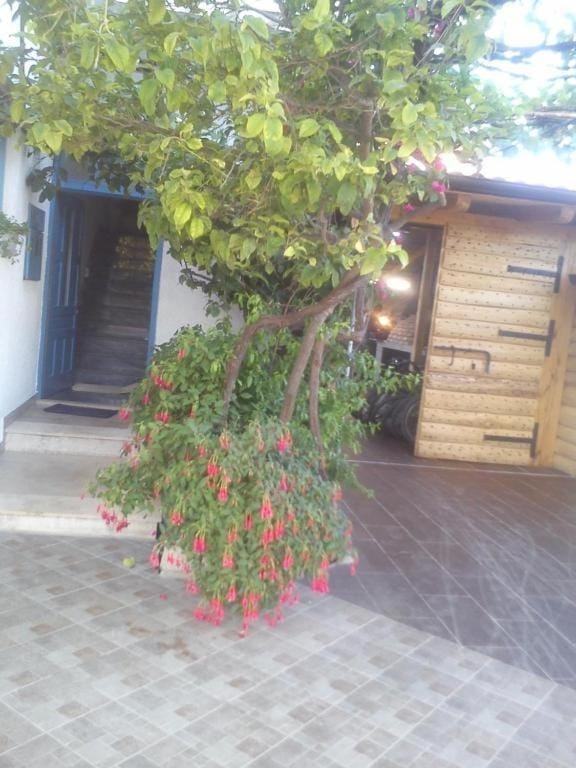 Off site