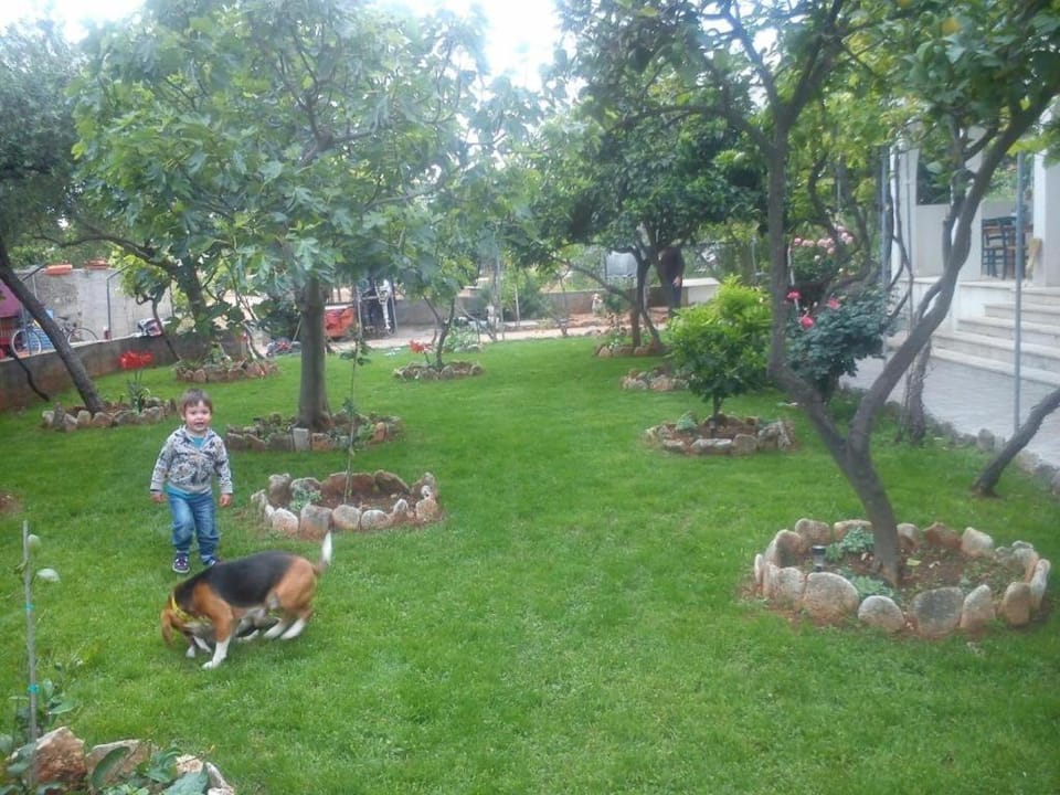 Patio, Garden, Garden view