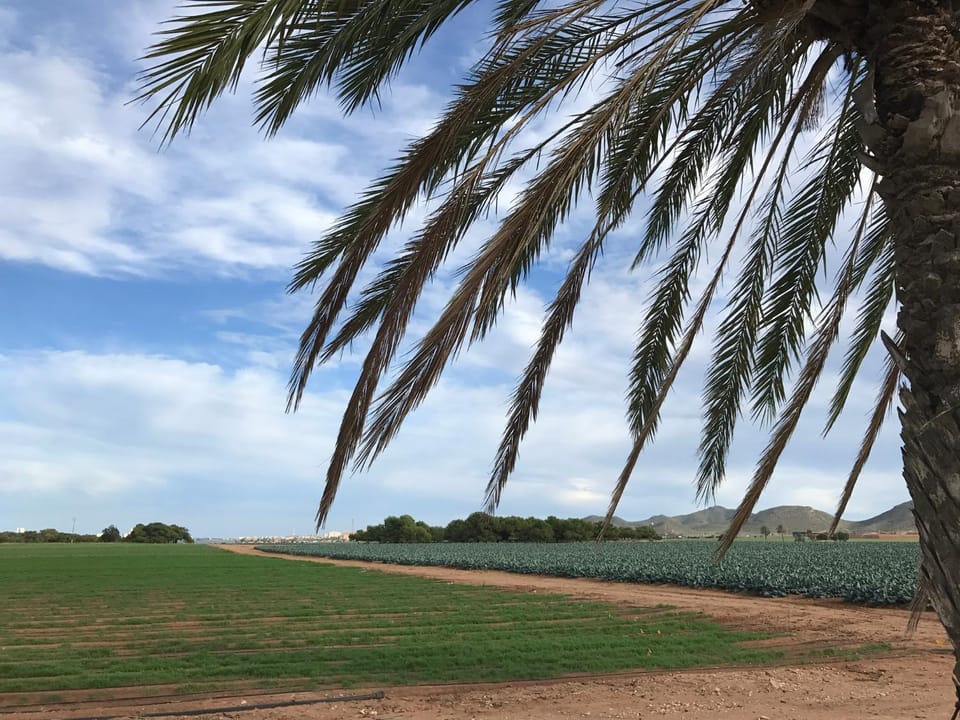Natural landscape