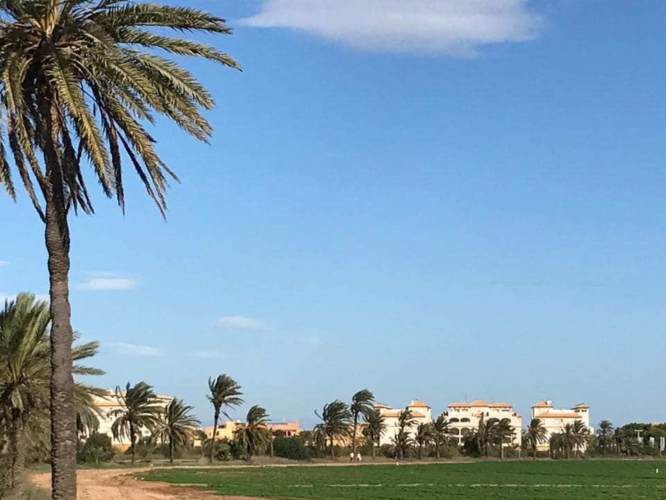 Neighbourhood