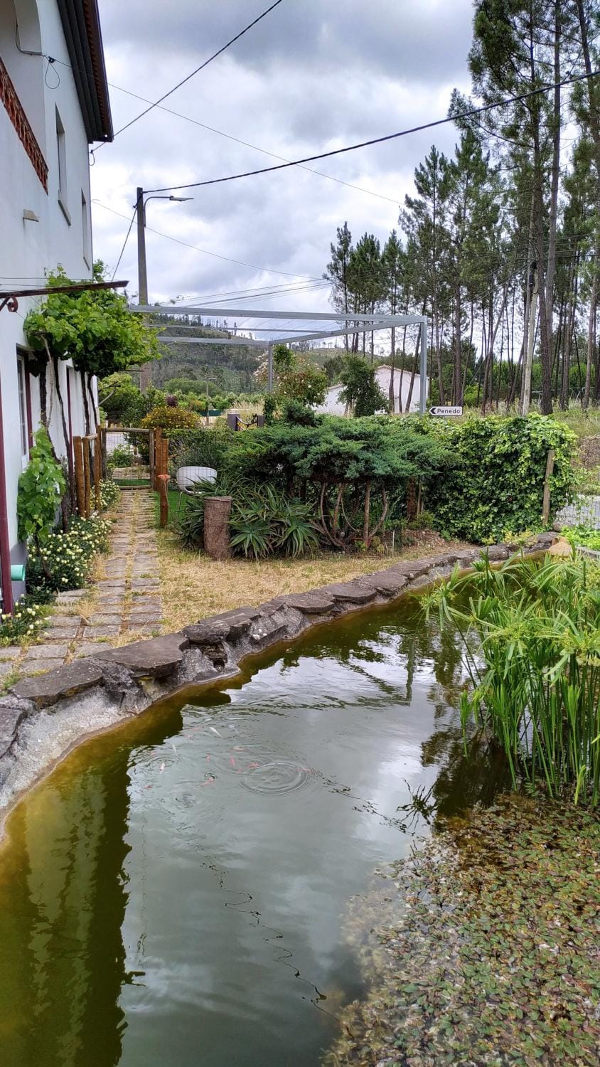 Lake view