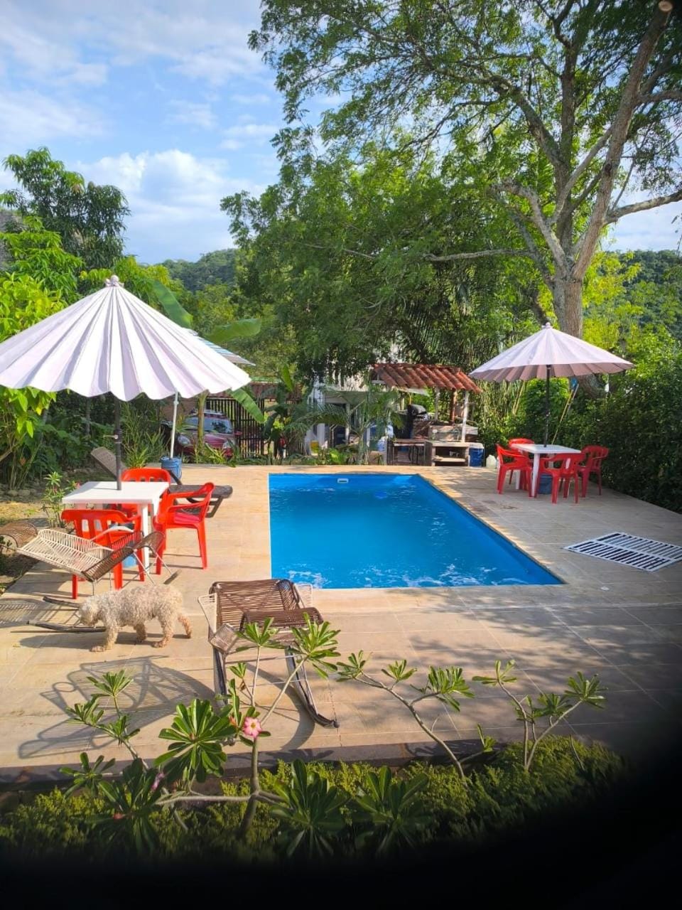 Swimming pool
