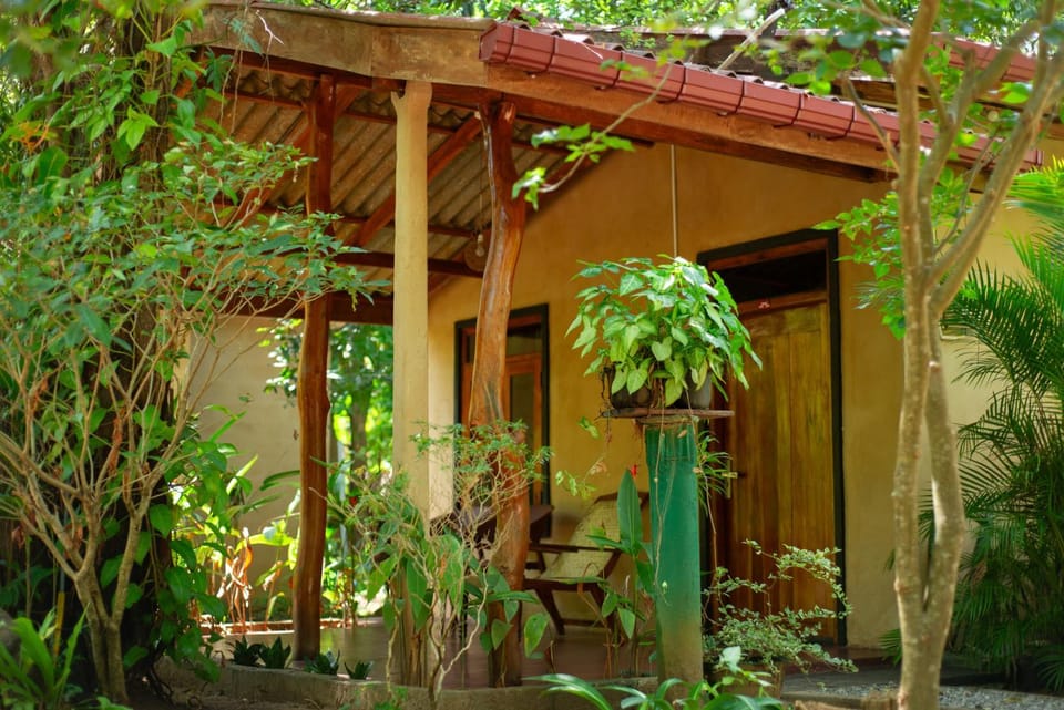 Property building, Day, Garden, Garden view