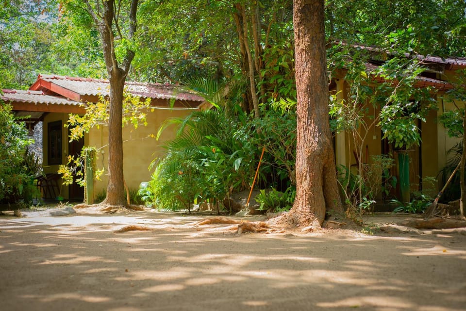 Property building, Day, Natural landscape, Garden, Garden view