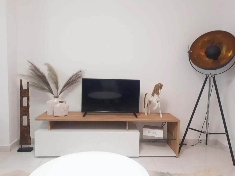 TV and multimedia